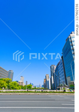 【大阪府】5月・御堂筋から大阪市役所を望む 117902556