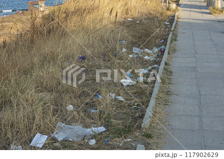 Garbage on the grass along the pedestrian sidewalk Garbage on the grass along the pedestrian sidewalk 117902629