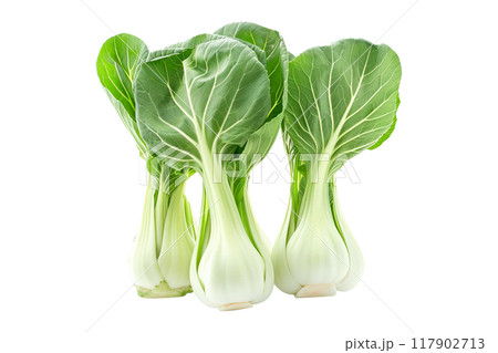 Fresh green bok choy vegetables cabbage isolated on a white background. 117902713