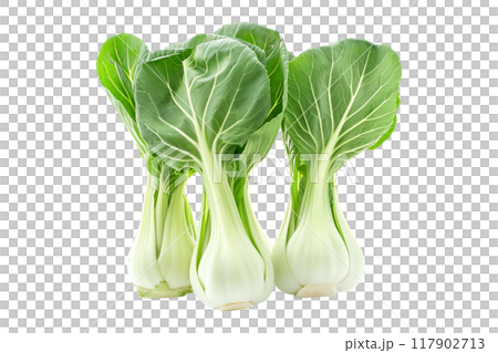 Fresh green bok choy vegetables cabbage isolated on a white background. 117902713