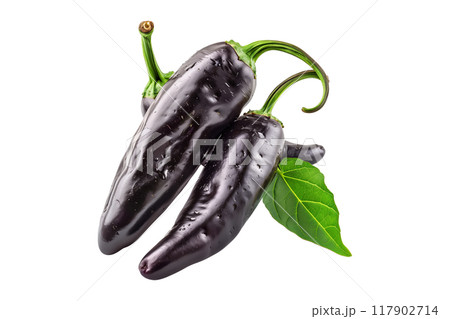 Green Pasilla Chili Pepper isolated on a white background. 117902714