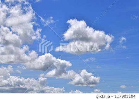 日本の横浜都市景観 夏空。猛烈な暑さが続く日本列島…わたぐもが首都圏を通過…＝8月26日、横浜から 117903104