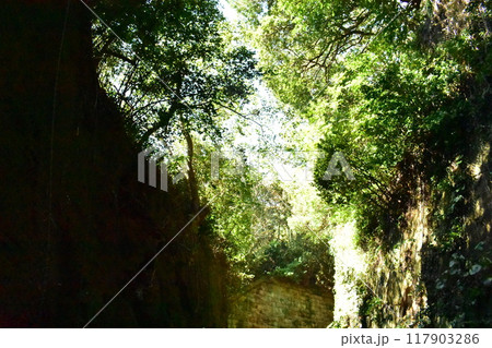 猿島 猿島 117903286