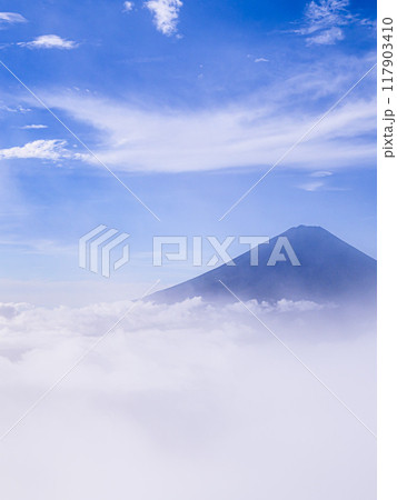 山梨県・王岳付近の稜線から見る富士山と大雲海 山梨県・王岳付近の稜線から見る富士山と大雲海 117903410