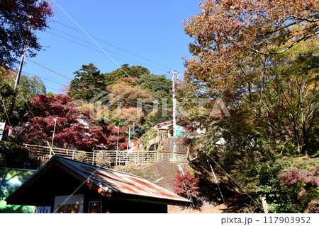 大山ケーブルカー駅 紅葉 大山ケーブルカー駅 紅葉 117903952