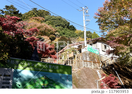 大山ケーブルカー駅 紅葉 大山ケーブルカー駅 紅葉 117903953
