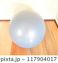 バランスボール 117904017