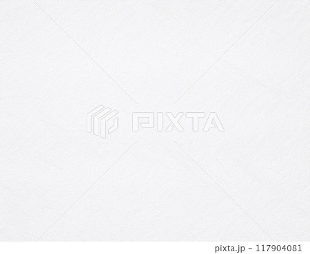和紙のテクスチャのイメージ素材　白色　勝色 117904081