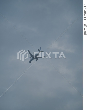 空に飛行機:飛んでいく飛行機 空に飛行機:飛んでいく飛行機 117904216