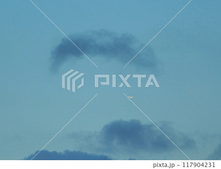 空に飛行機：飛んでいく飛行機 117904231