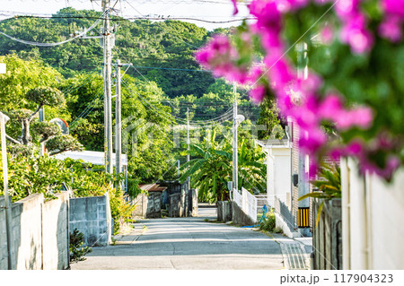 沖縄の路地裏 117904323