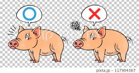 判定豚セット(マルバツ) 117904367