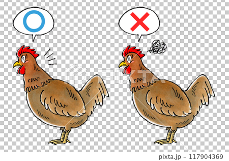 Verdict: Brown Chicken Set (Round or Round) 117904369