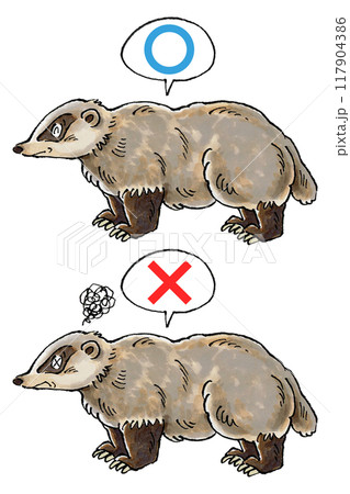 判定アナグマセット(マルバツ) 判定アナグマセット(マルバツ) 117904386