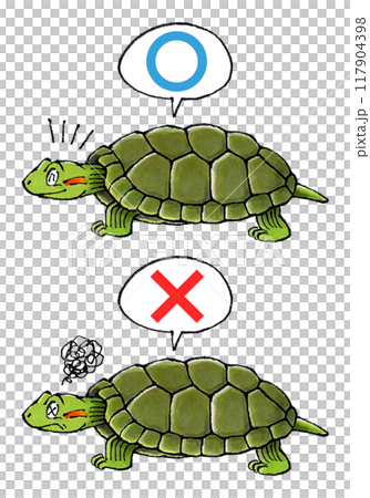 審判綠海龜套裝(Marubatsu) 審判綠海龜套裝(Marubatsu) 117904398