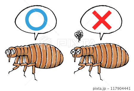 判定ノミセット(マルバツ) 判定ノミセット(マルバツ) 117904441