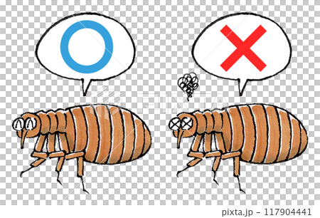 判定ノミセット(マルバツ) 判定ノミセット(マルバツ) 117904441