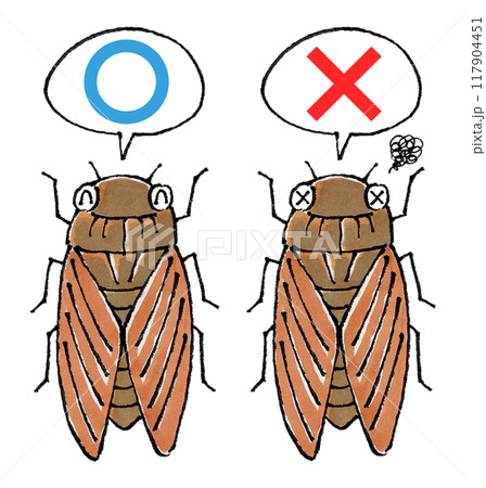 判定アブラゼミセット(マルバツ) 117904451