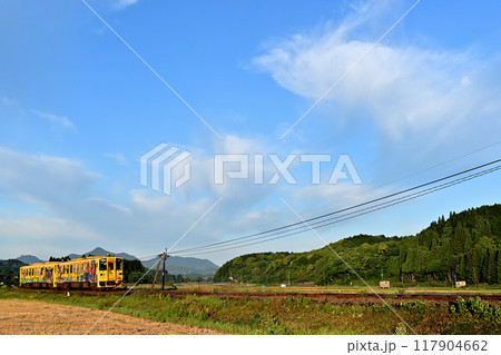 田舎を駆け抜ける黄色列車 117904662