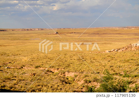 Harsh Landscape Petrified Forest National Park Arizona 117905130