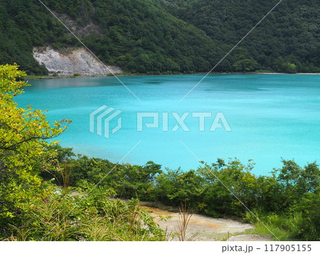 潟沼 潟沼 117905155