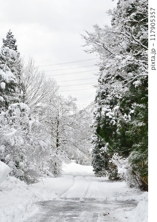 冬の剣龍峡（新潟県） 117905357
