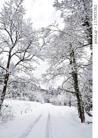 冬の剣龍峡(新潟県) 冬の剣龍峡(新潟県) 117905362