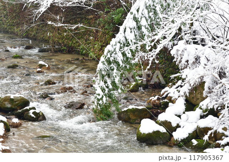 冬の剣龍峡（新潟県） 117905367