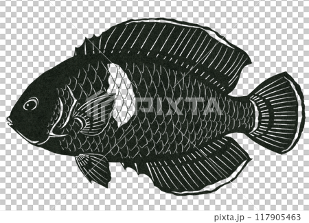 觀賞魚杏粳的簡單黑白剪紙插圖 117905463