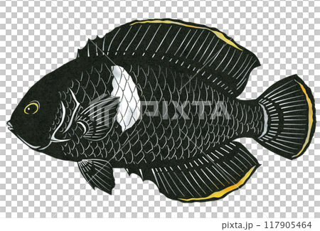 一幅樸素但美麗的黃尾魚剪紙插圖 117905464