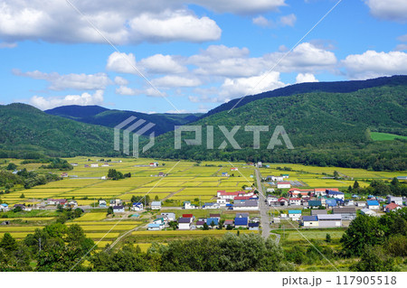 芦別市新城町の稲作風景を俯瞰して（2024年8月末 117905518