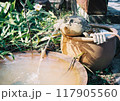 瓶から水を吹き出す生き物の置物 117905560