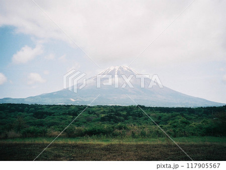 朝霧高原から見た富士山 117905567