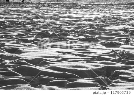 Shiny surface of snow in sunny weather. Shiny surface of snow in sunny weather. 117905739
