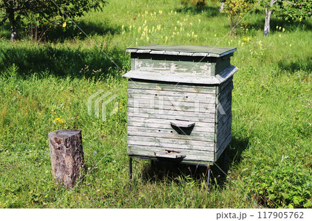 A hive of bees between in a field on a farm. A hive of bees between in a field on a farm. 117905762