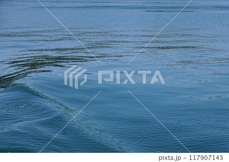 海面 凪 海面 凪 117907143