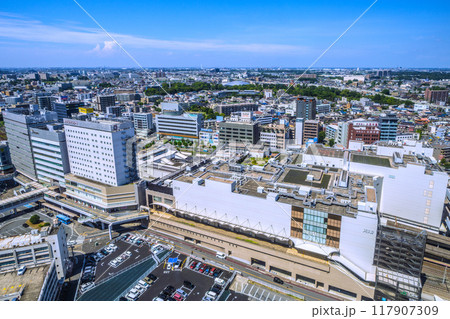 日本の千葉都市景観 8月。千葉駅などを望む 日本の千葉都市景観 8月。千葉駅などを望む 117907309