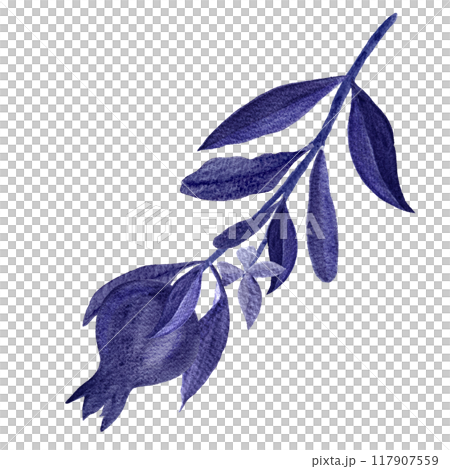 A monochrome pomegranate branch in shades of future dusk pantone color. Hand painted watercolor ideal for sophisticated designs, food blogs, cookbooks, artistic decor, textile, stationary products 117907559