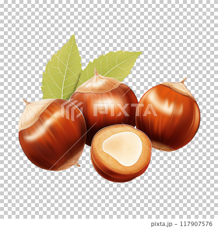 Macadamia  Macadamia  117907576