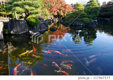 秋の好古園 秋の好古園 117907577