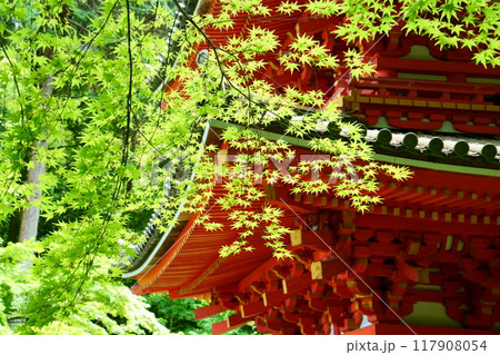 三重塔と青もみじ／岩船寺（京都府木津川市加茂町） 117908054