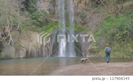A tranquil walk by the beautiful waterfall with a dog in a lush green landscape during early morning light A tranquil walk by the beautiful waterfall with a dog in a lush green landscape during early morning light 117908145