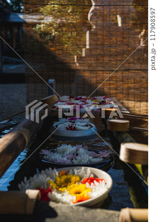 【庄内の風景】夕暮れの荘内神社（鶴岡公園）_花手水 117908597