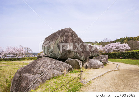 石舞台古墳と桜の風景 飛鳥・藤原の宮都 奈良県観光名所 国の特別史跡 世界文化遺産 春の明日香村 石舞台古墳と桜の風景 飛鳥・藤原の宮都 奈良県観光名所 国の特別史跡 世界文化遺産 春の明日香村 117908665