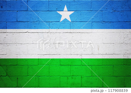 Flag of Puntland painted on a wall Flag of Puntland painted on a wall 117908839
