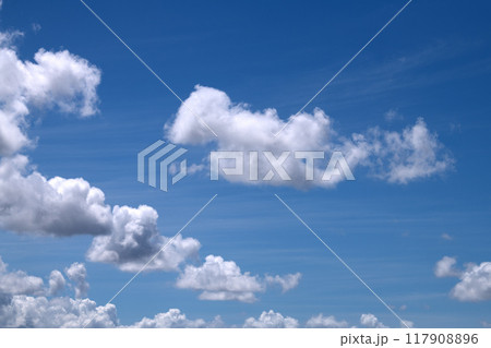 日本の横浜都市景観 夏空。猛烈な暑さが続く日本列島…わたぐもが首都圏を通過…＝8月26日、横浜から 117908896
