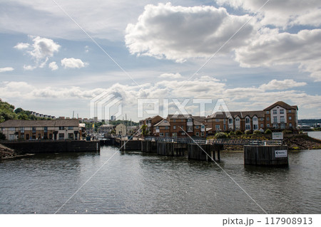 青空の下を優雅に大きく羽ばたいて飛ぶカモメ　南ウェールズの郊外にて 117908913