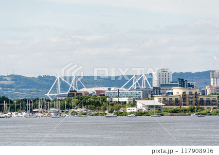 青空の下を優雅に大きく羽ばたいて飛ぶカモメ　南ウェールズの郊外にて 117908916