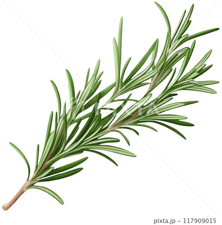 Rosemary 117909015
