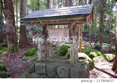 福井県　平泉寺白山神社・旧玄成院庭園 117909017